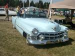 puistoblues06 083